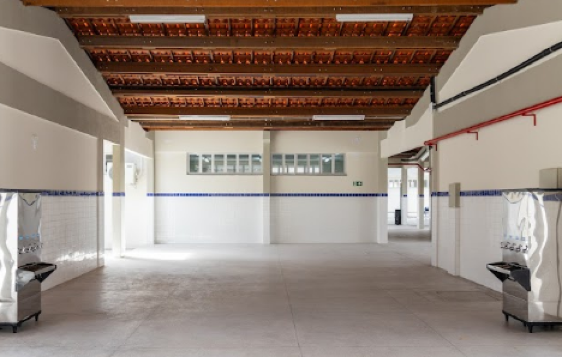 imagem_2026-02-05_103659416